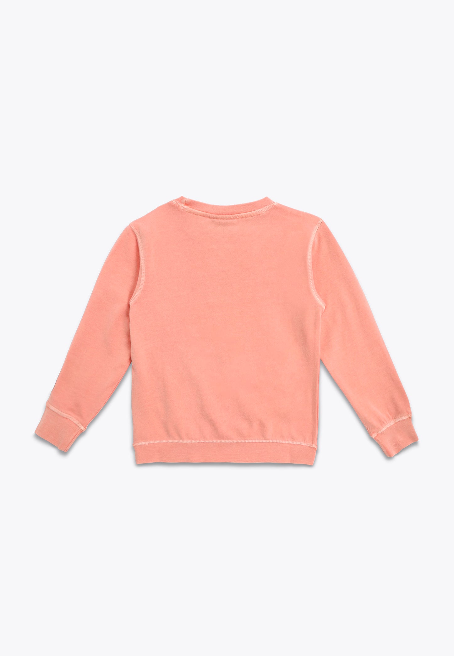 Garment Dyed Crewneck Sweatshirt